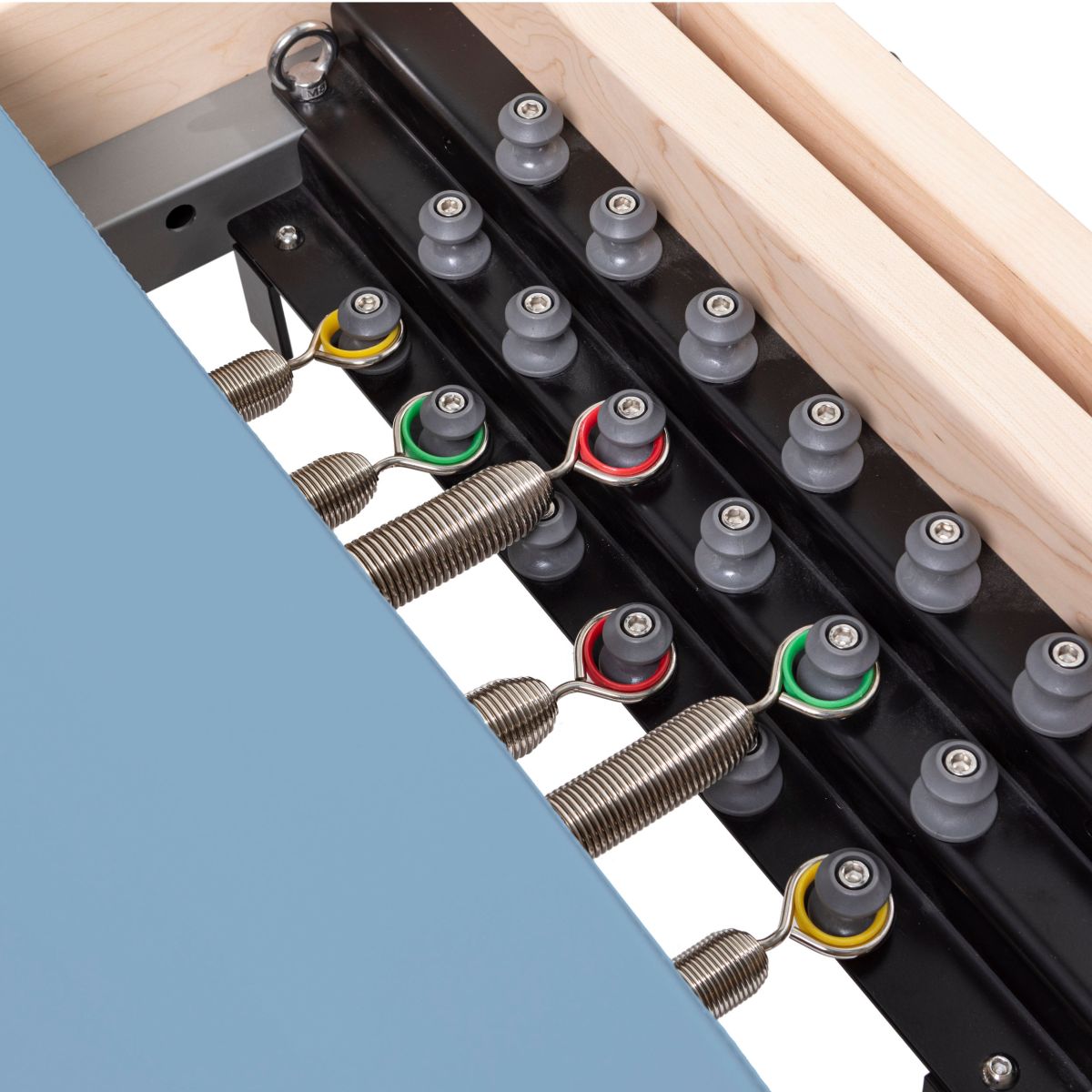 Master Instructor Reformer | Physio